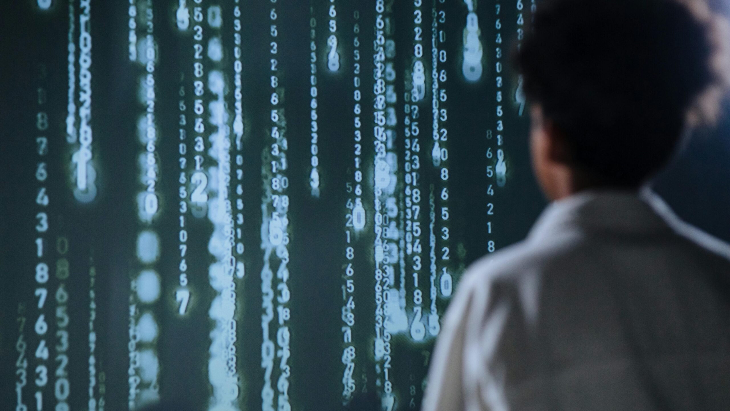 back view of woman looking at large screen of code